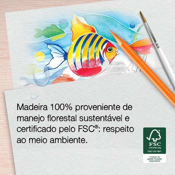 EcoLápices de Colores de 24 acuarelables + 1 pincel + 1 Sacapuntas